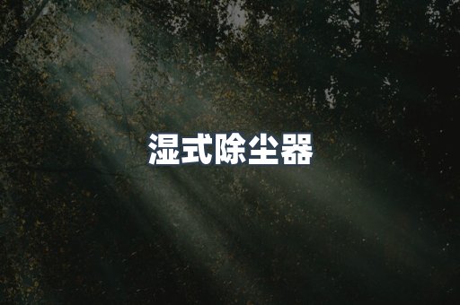 湿式除尘器