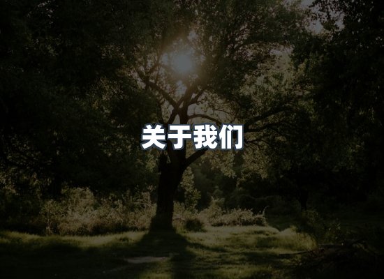 关于我们