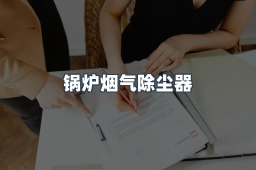 锅炉烟气除尘器